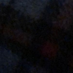 Meet your Posher, Joey